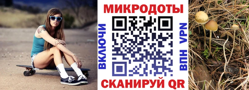 ОМГ ОМГ зеркало  магазин    Электроугли  Галлюциногенные грибы Psilocybe 